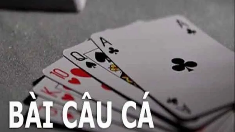 Cách chơi bài câu cá tại Gemwin đơn giản mà hiệu quả cao