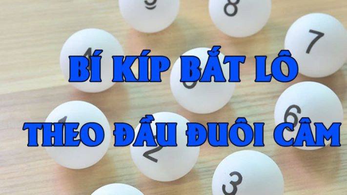 Chơi lô đầu câm tại các trang web cá cược trực tuyến đã trở thành một hình thức giải trí phổ biến