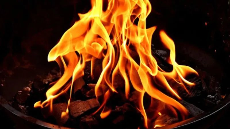 Đốt phong long là một quy trình quan trọng trong việc sản xuất các sản phẩm từ nguồn nguyên liệu lông thú