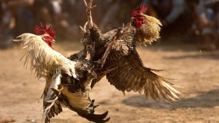 Gemwin cam kết đảm bảo an toàn và bảo mật thông tin cá nhân